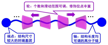 《環(huán)糊精聚輪烷-基礎(chǔ)與應用》課程回顧(圖2) image.png
