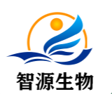 新型雙交聯(lián)水凝膠問(wèn)世 為牙周炎局部治療帶來(lái)新突破